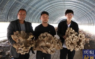 北京鑫兴科技有限公司 下单3万元褐灵菇后商家失联，办公地空无一人，多人疑陷“集资骗局”集体维权，成都警方回应