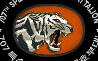 太极虎科技 全韩精锐707“白虎”部队，强闯国会的神秘军团，露脸都算犯法？