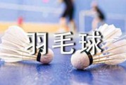 羽毛球女双：羽毛球女子双打技巧