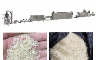 大米科技到底怎么样 人造大米:科技赋能,开启健康饮食新时代 大米科技到底怎么样 人造大米:科技赋能,开启健康饮食新时代