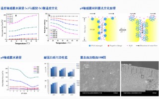 保时科技 保时来申请复合高分子多孔材料等相关专利，在较高温度下能够保持较低的液接电位