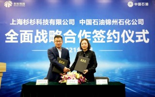 凤科技公司 上海锂凰科技取得一种层状硅酸盐矿物负载的纳米金属氧化物锂电负极材料及其制备方法专利