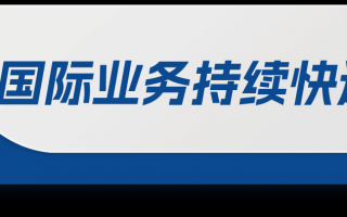 先健科技公司 先健科技公布2024年中期业绩：国际业务增长三成，扣非归母净利润率358%