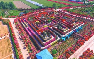 南阳大山农业科技园 南阳餐饮业与大山农业科技园打造绿色直供新通道